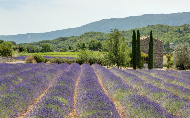 Construire une résidence secondaire à Vaison-la-Romaine